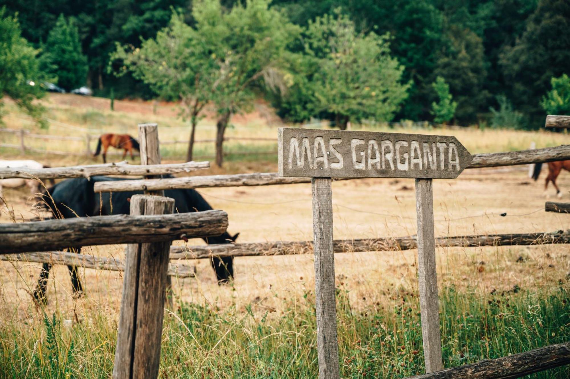Casa Rural Mas Garganta La Pinya Exterior foto