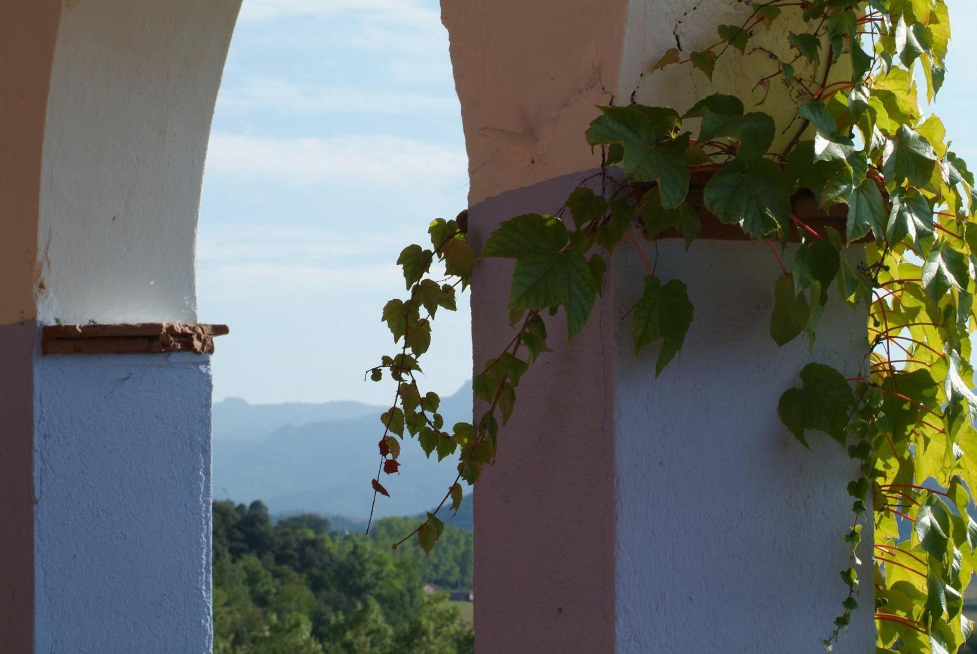Casa Rural Mas Garganta La Pinya Exterior foto